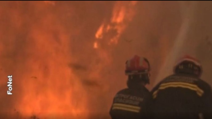 Požar u selu Breznica
